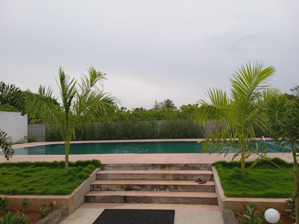 Paradise Forest Resort 蓬蒂切里 外观 照片