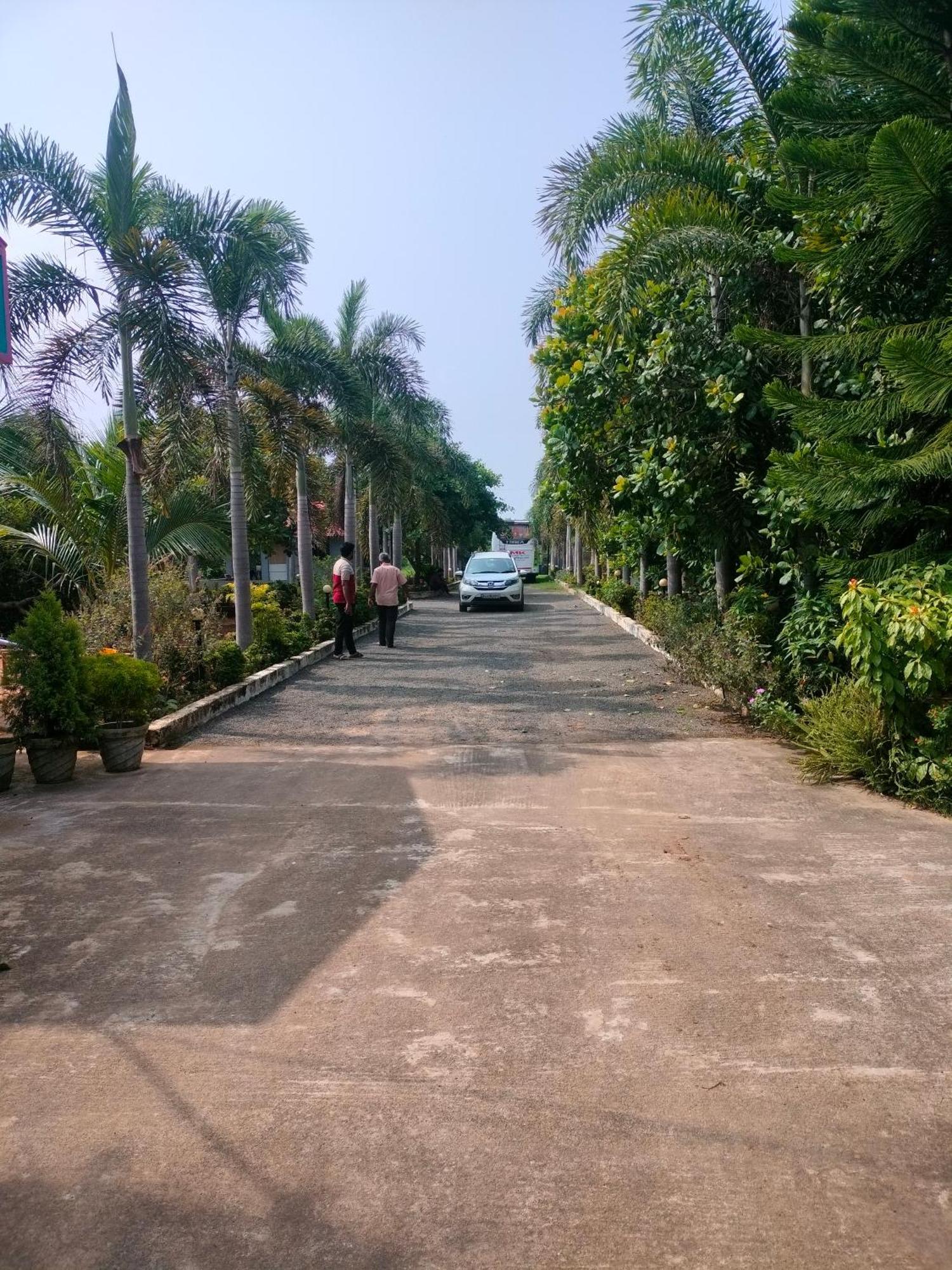 Paradise Forest Resort 蓬蒂切里 外观 照片